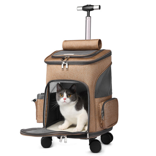 Katzen-Trolley